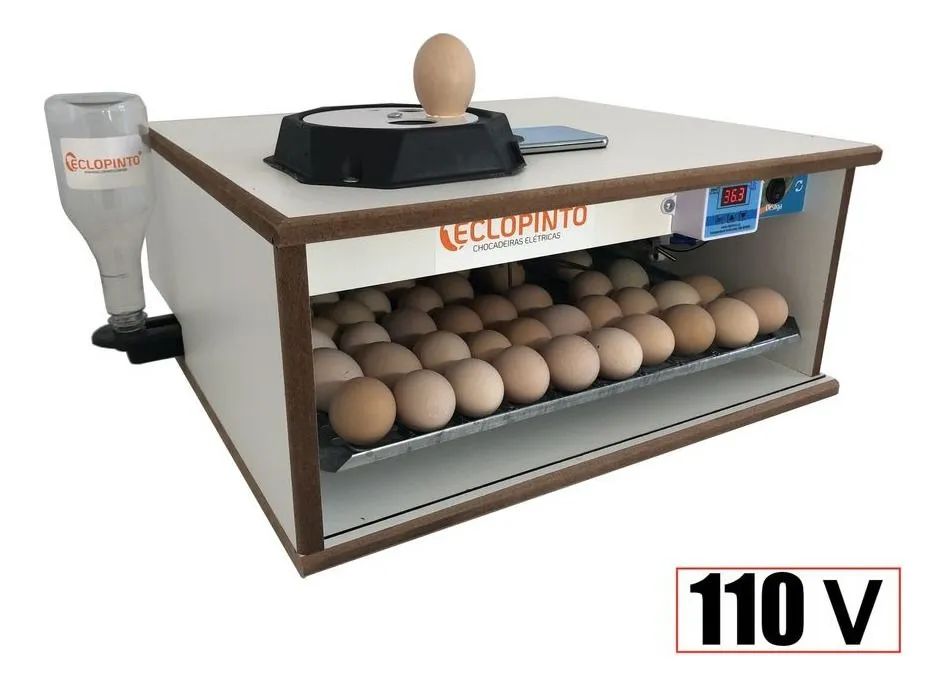 Chocadeira 72 ovos  - Foto 3