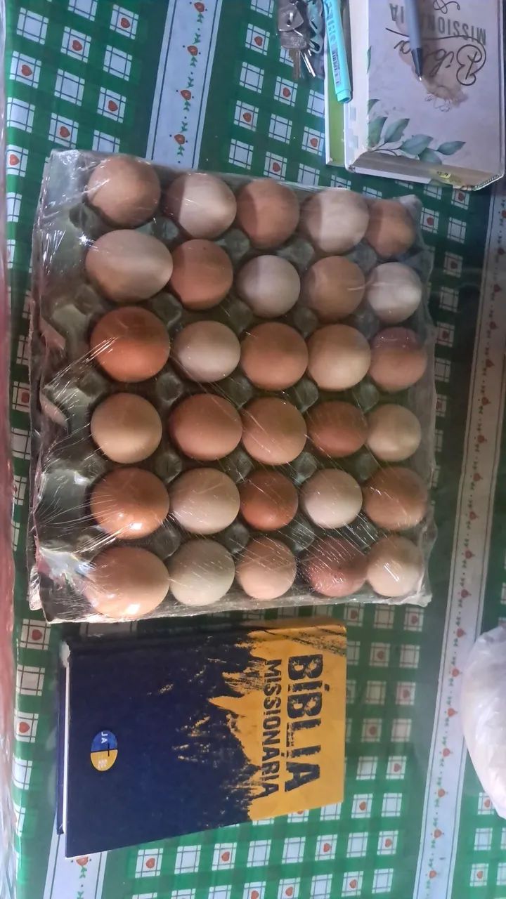 ovos de galinha caipira diferenciados - Foto 3