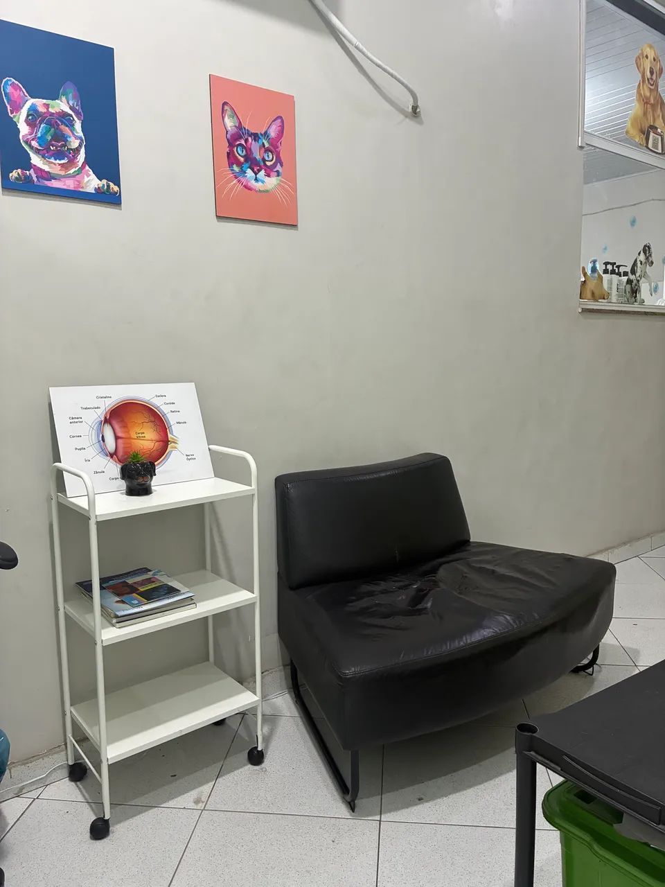 Passo ponto Pet Shop/ Clínica Mobiliado - Foto 5