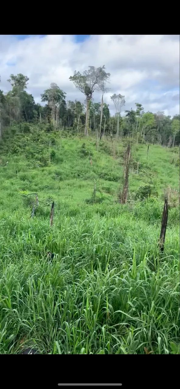 Fazendonha de 42 alqueiro em anapu-pa