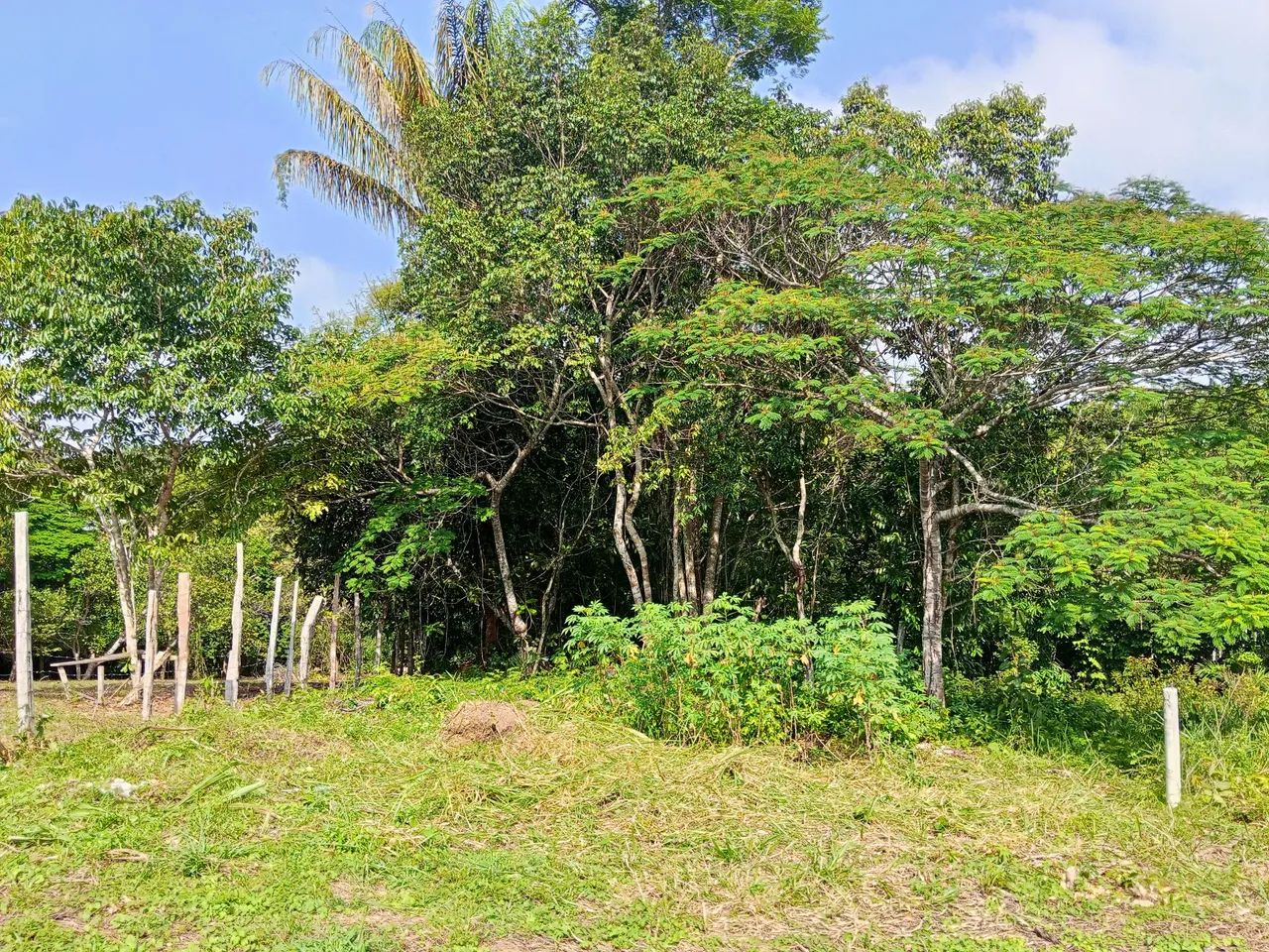 Vende-se terreno no Iranduba - Foto 5