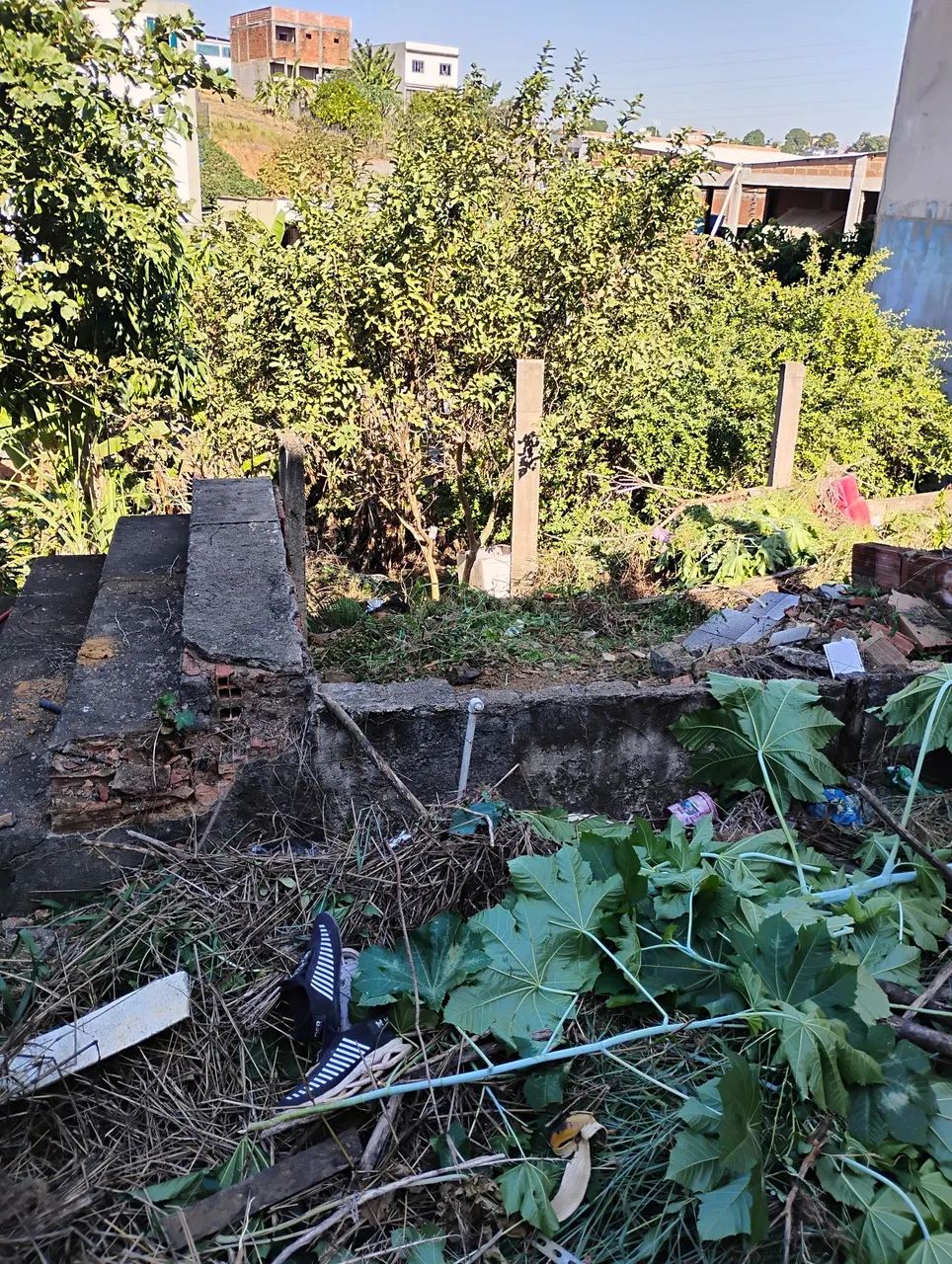 Venda  - Foto 4