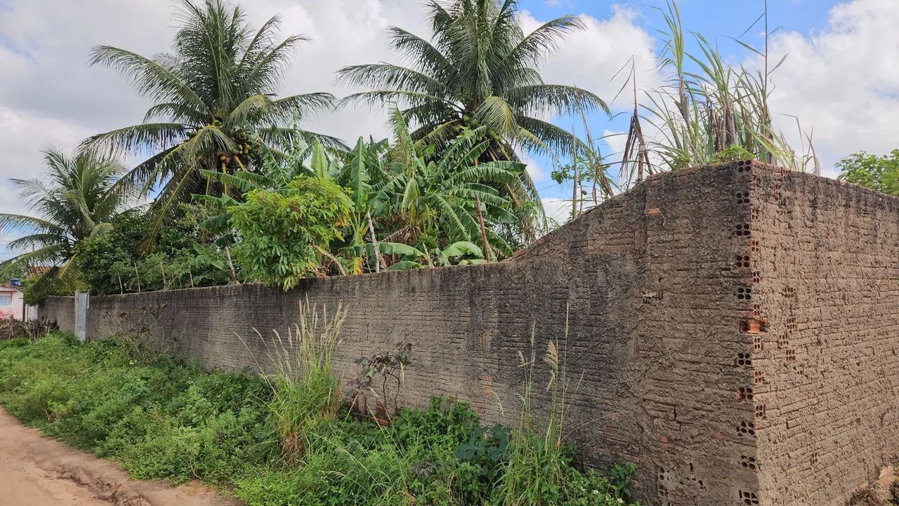 Terreno 12 por 22,6m²  - Foto 4