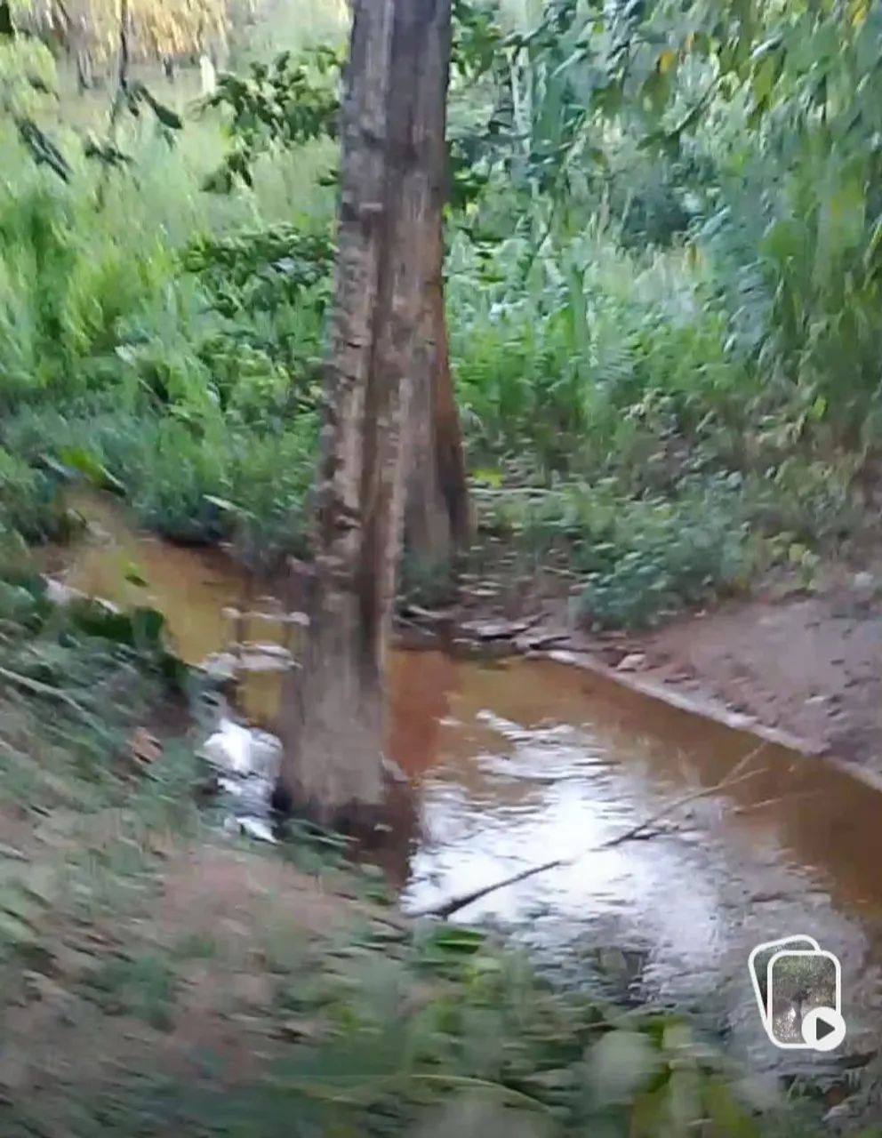 Terreno com riacho 