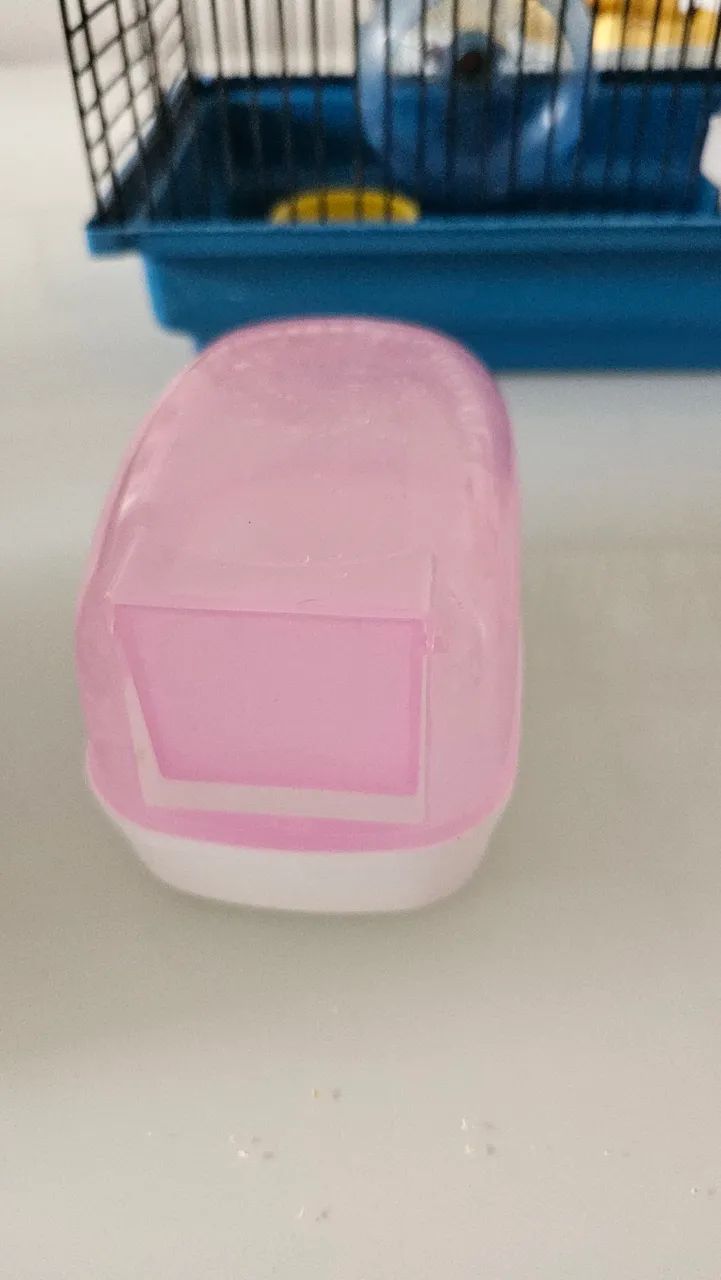 Kit Hamster completo  - Foto 3