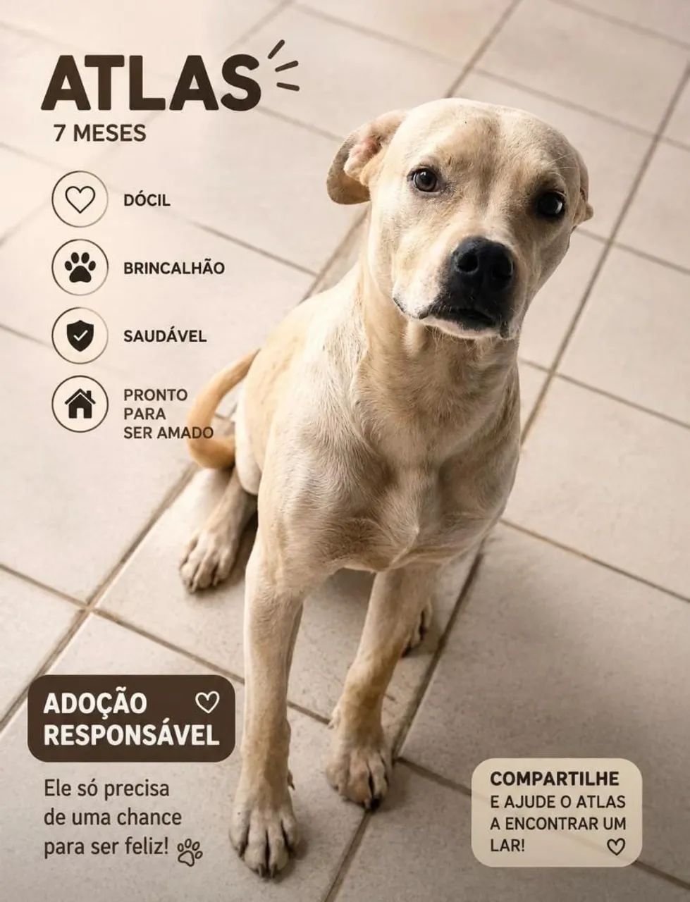 Doação 