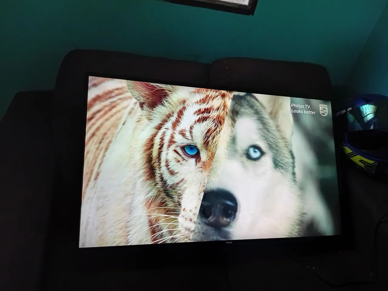 Tv PHILIPS 43 ( Sem controle )