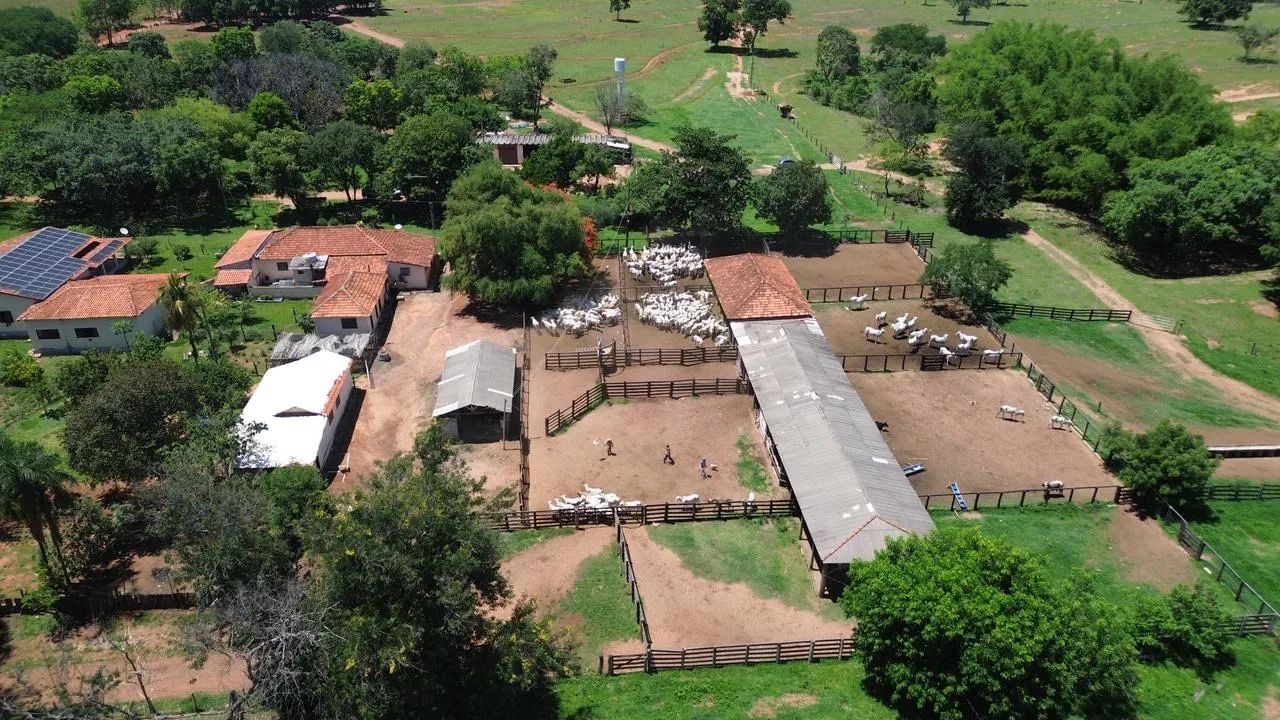 Fazenda Em Jaupaci/goias  - Foto 3