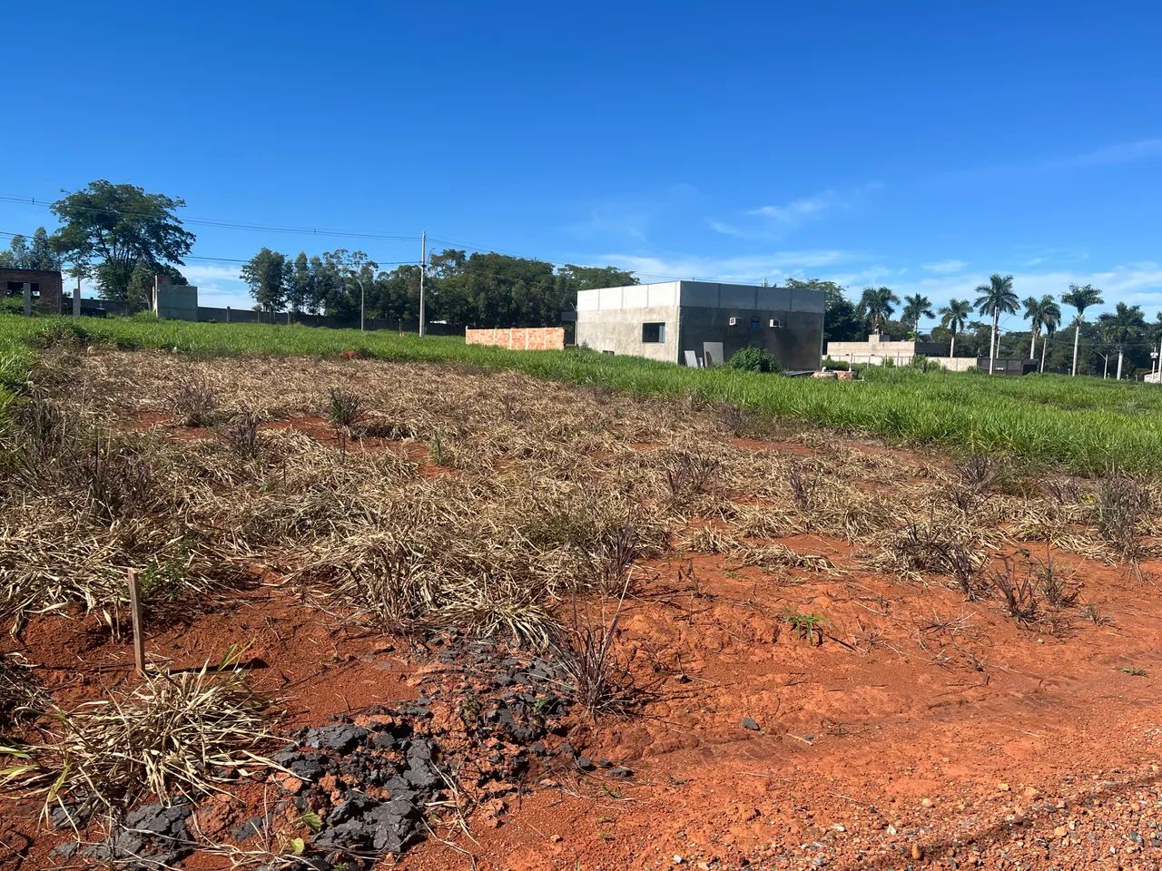 Foto - Goiânia - Jardim das Esmeraldas