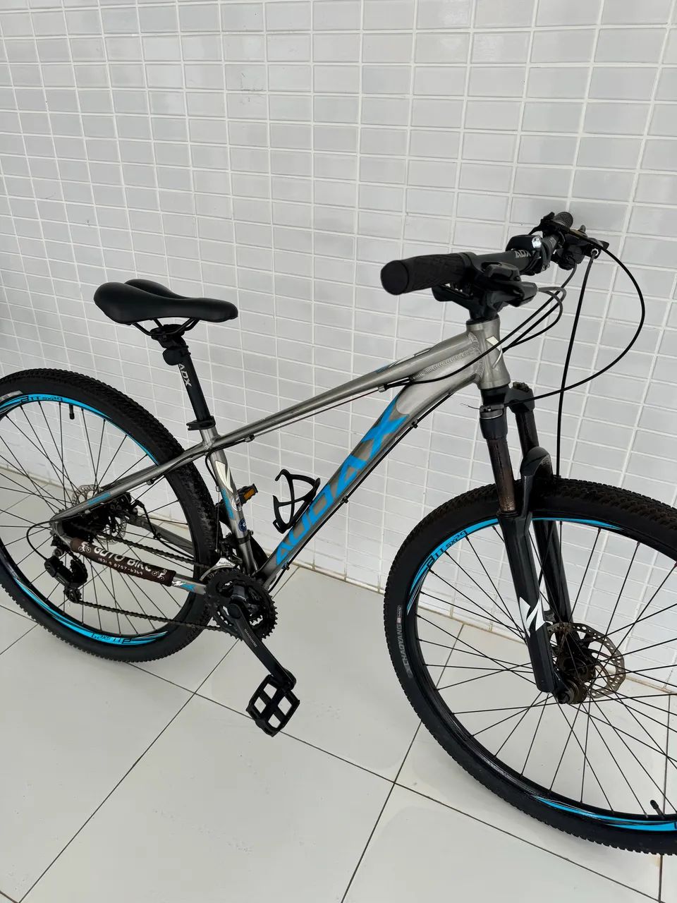 Bicicleta Audax 