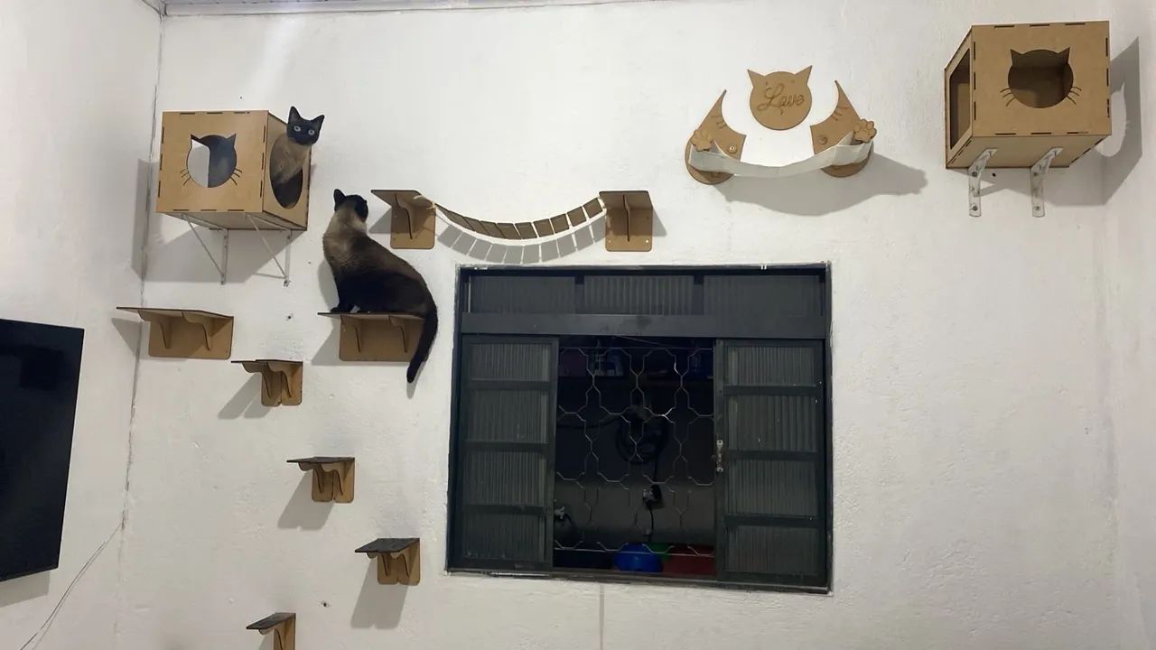 PLAYGROUND PARA GATO