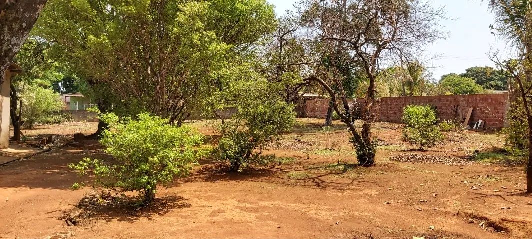 Chácara a 8 km de Brazlândia - Com Escritura 10.000m² - Foto 4