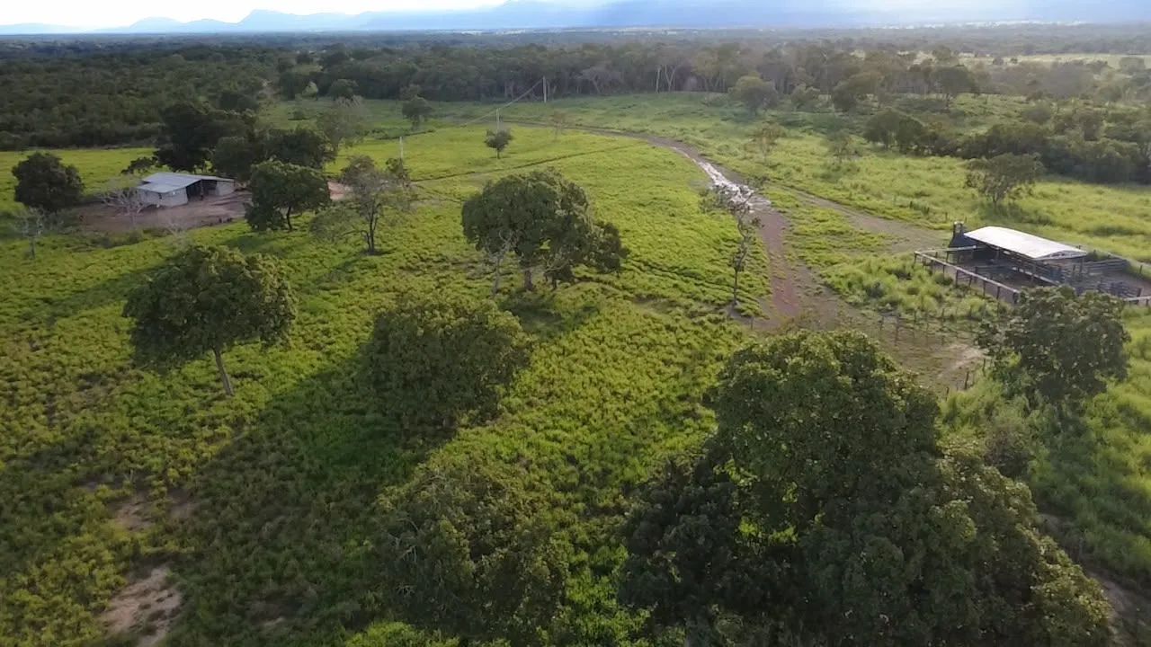 FAZENDA A VENDA - Foto 2