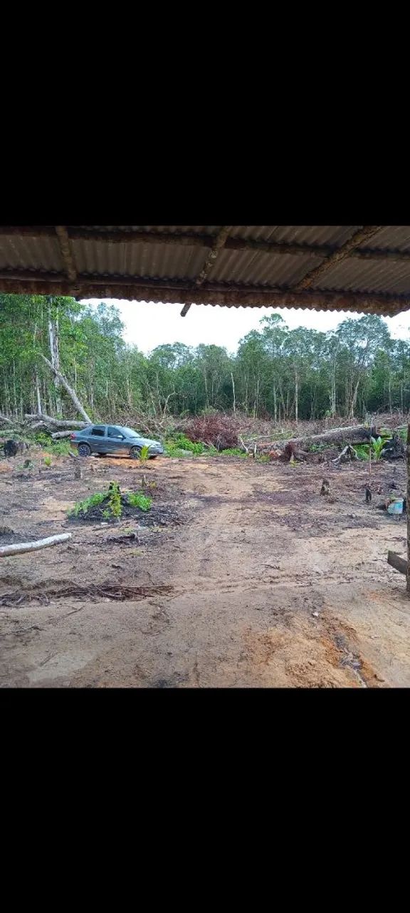 Foto - Manaus - Redenção