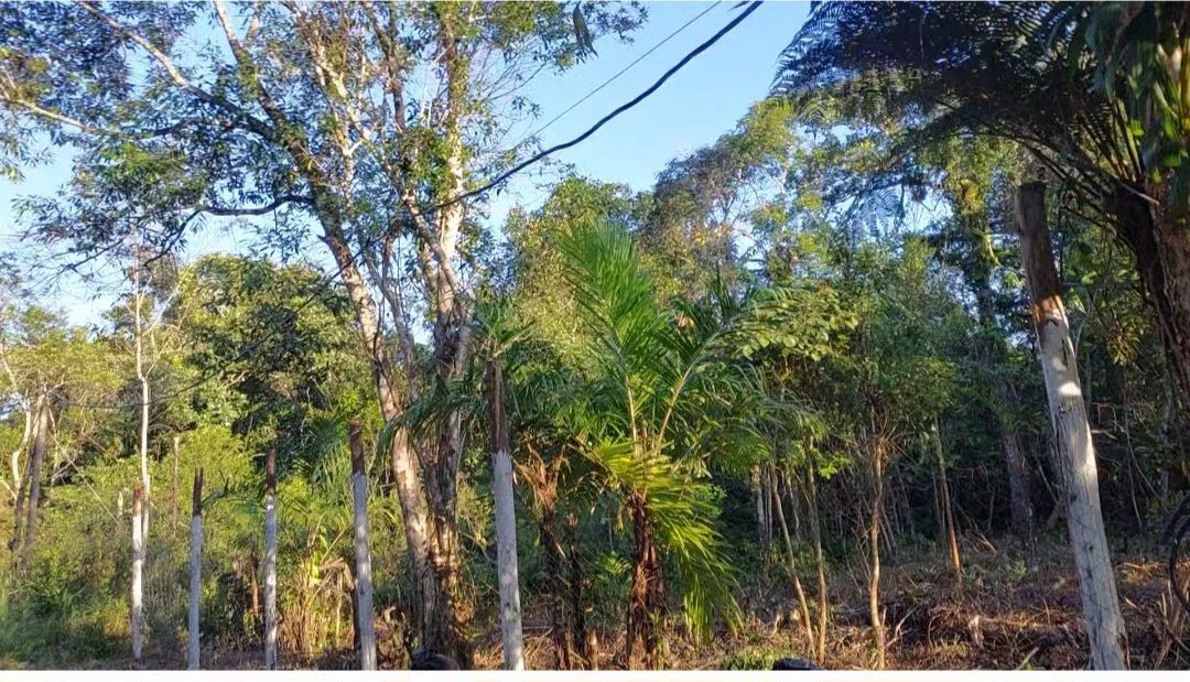 Foto - Itanhaém - 
