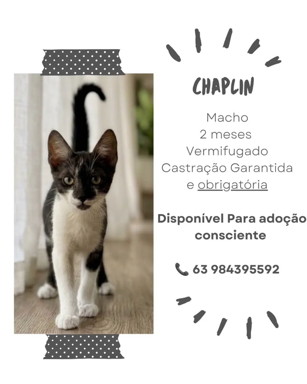 Adoção 