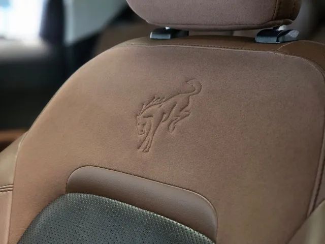 Ford Bronco Sport Wildtrak 2.0 TB 16V AWD AUT 2022 - Foto 2