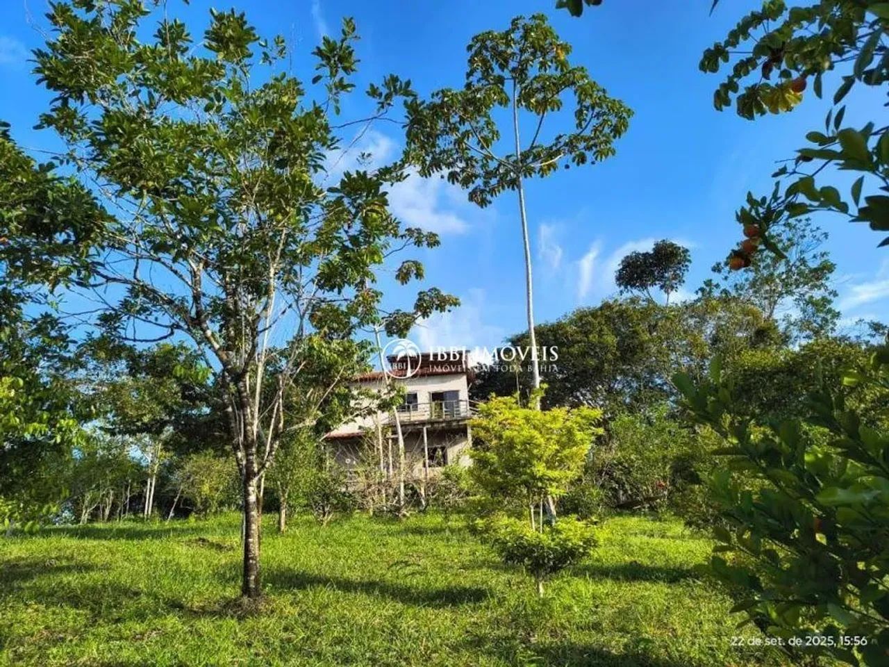 Ótimo Sitio à venda, 85.000 m², no Povoado de Tremembé - Maraú/BA - Foto 2