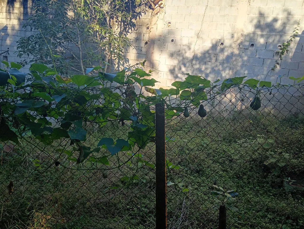 Chácaras e sítios a venda  - Foto 4