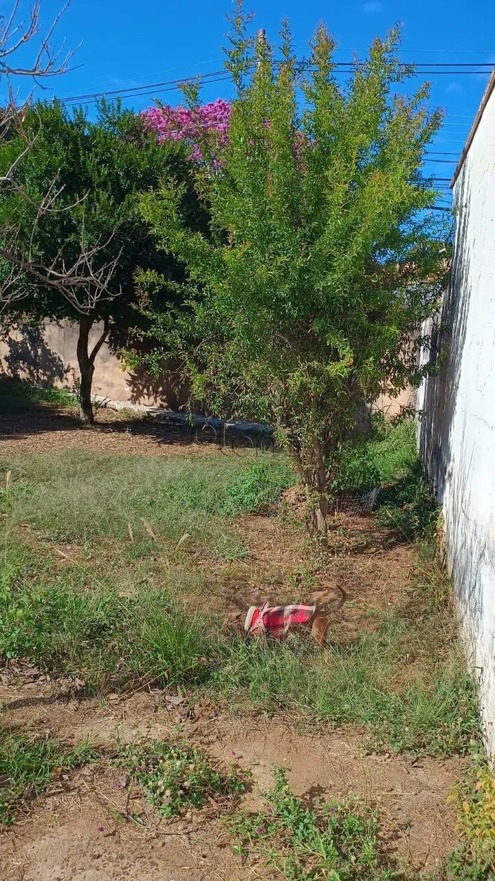 Terreno à venda em Campinas, Chácara da Barra, com 316.42 m² - Foto 5
