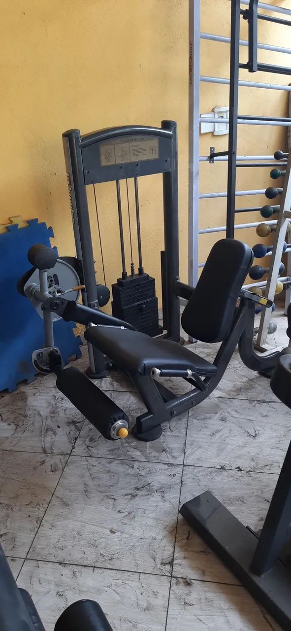 Extensora wellness Linha impulse valor 9 mil