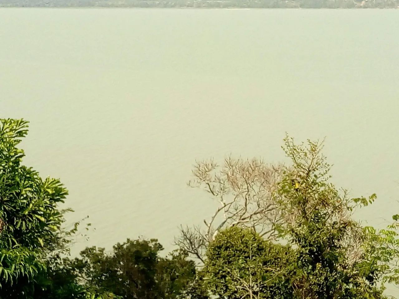 Lote próximo a lagoa Ji-Paraná  - Foto 3
