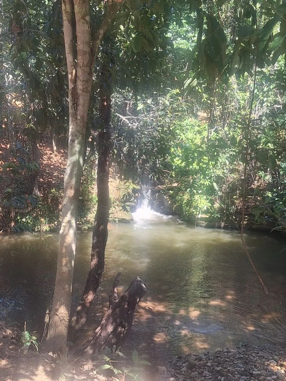 Chacaras de 2500m² a 20 km de Anapolis - Foto 5