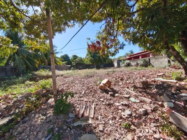TERRENO NO MOSQUEIRO - Foto 4