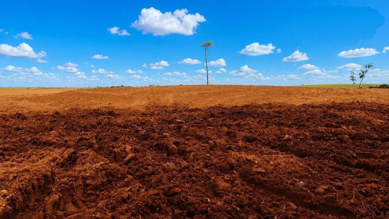 Fazenda para a venda no PR. Noroeste. - Foto 4