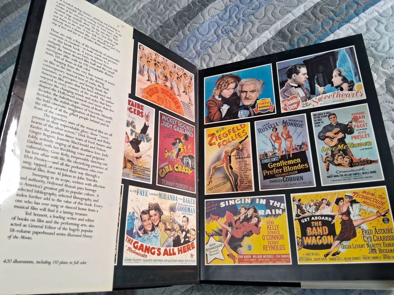 アート・デザイン・音楽 HOLLYWOOD MUSICALS TED SENNETT Hollywood Musicals: Sennett, Ted: 9780810980709: Amazon.com: Books