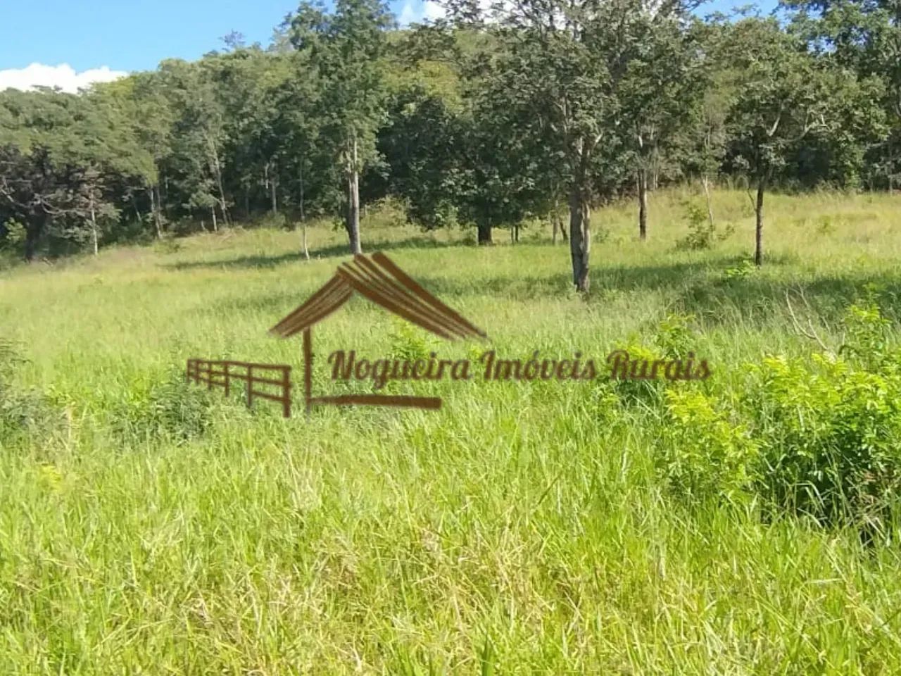 Fazenda com 117 alqueires em Cassilândia-MS - Foto 4