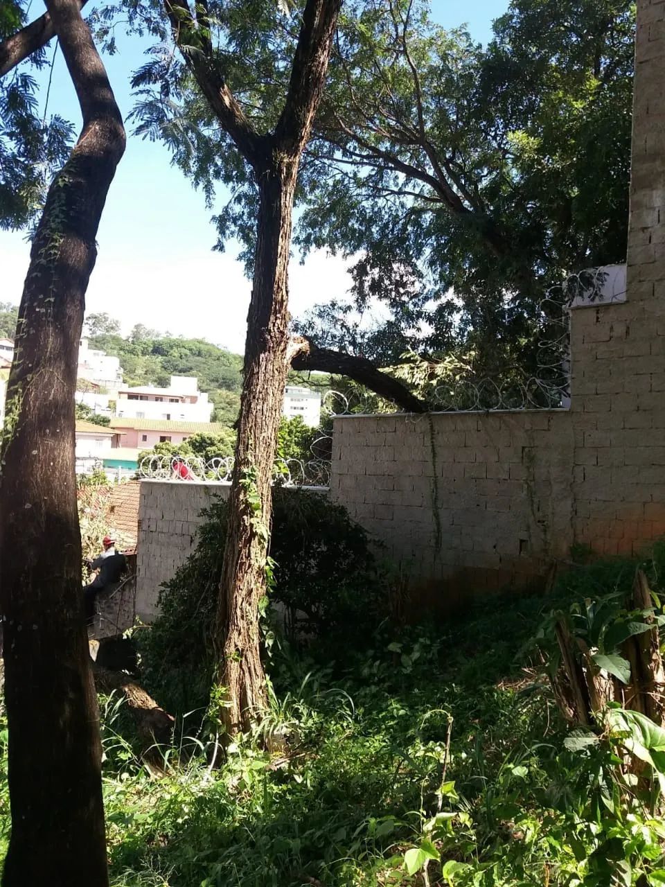 LOTE PARA ALUGUEL NO ÁLVARO CAMARGOS - Foto 2