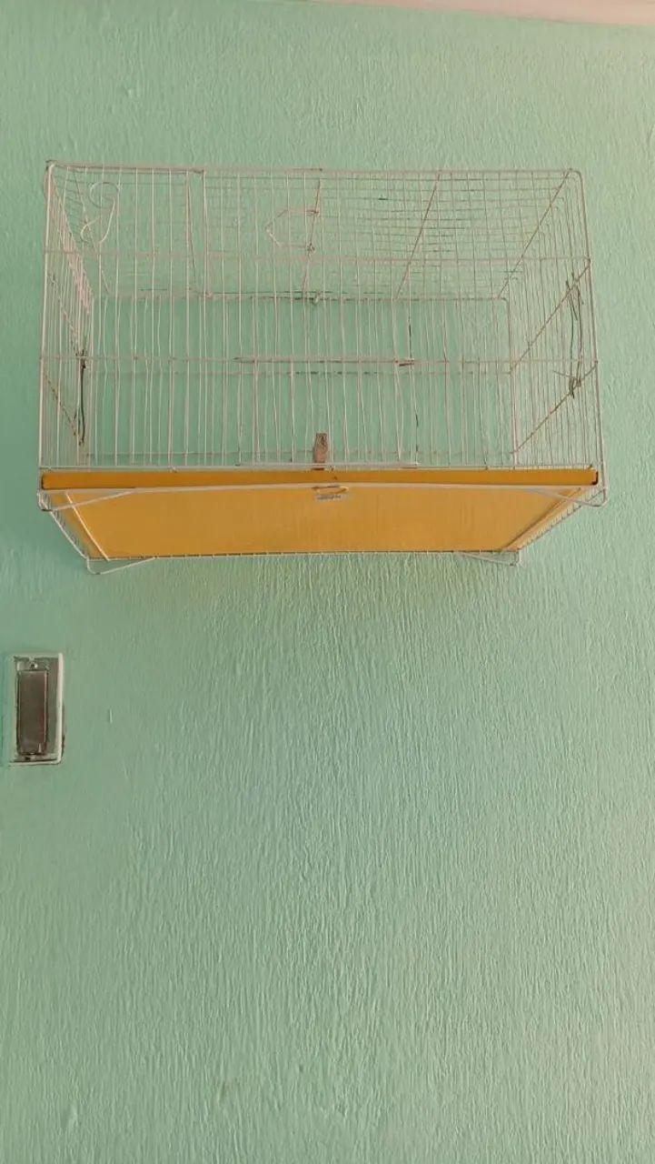 Gaiola - Foto 2