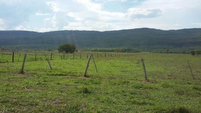Fazenda 3288 ha terra Rosario Oeste MT braquearia 2020 cab boi R$ 6 mil reais p ha - Foto 5