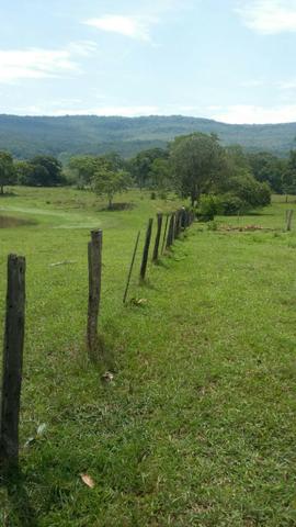 Fazenda 3288 ha terra Rosario Oeste MT braquearia 2020 cab boi R$ 6 mil reais p ha - Foto 4