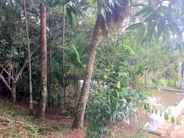 Cód.5684- Chácara Itapuã - Sítio do Recreio - Anápolis - Foto 17
