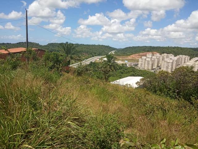 Vendo excelente área com 7.8 Hectáres em São Lourenço da Mata / PE