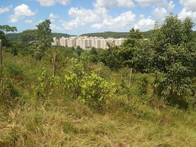 Vendo excelente área com 7.8 Hectáres em São Lourenço da Mata / PE - Foto 2