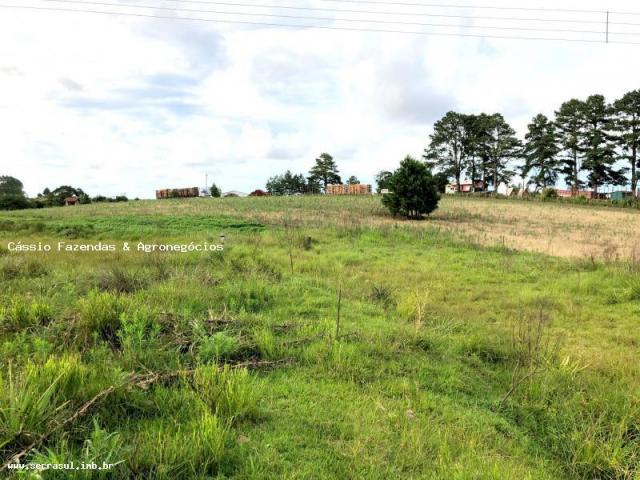 Fazenda para venda em encruzilhada do sul, interior - Foto 2