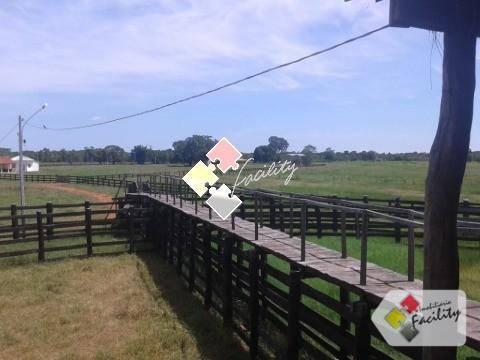 Fazenda rural à venda, zona rural, poconé - . - Foto 2