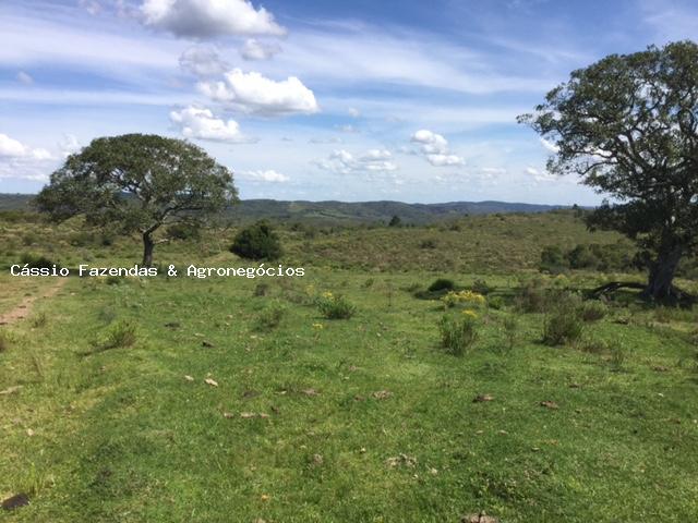 Fazenda para venda, interior