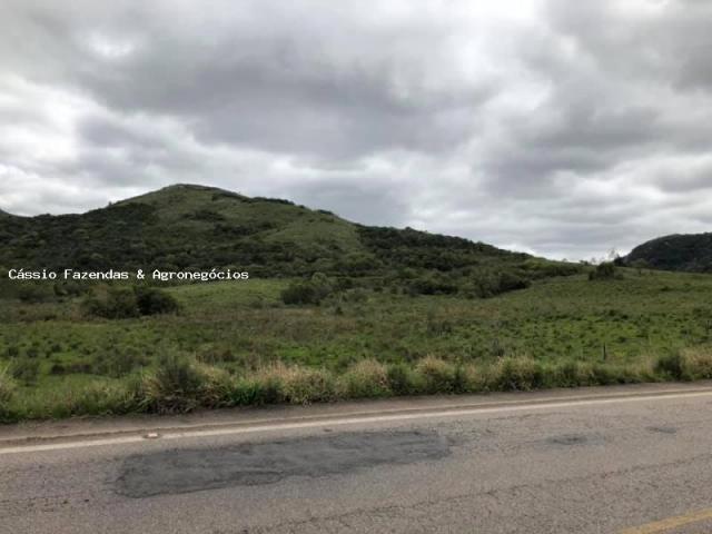 Fazenda para venda em encruzilhada do sul, interior - Foto 6