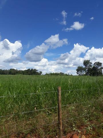Fazenda 663 Alqueires região Porangatu Goias - Foto 7