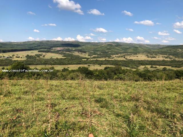 Fazenda para venda, interior - Foto 4