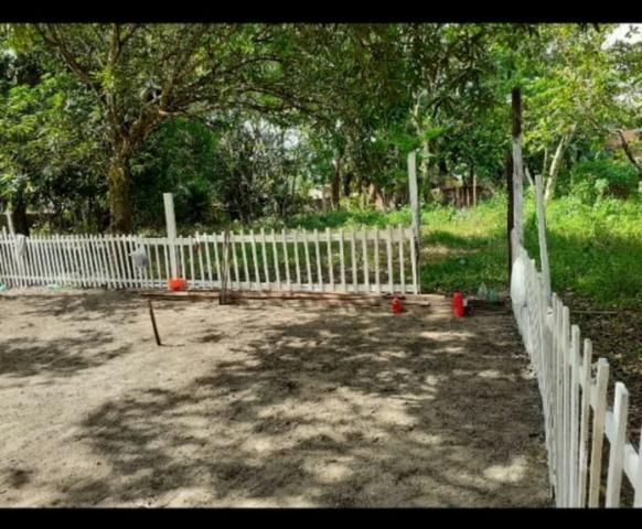 Belo Sítio no Murinim, acesso asfaltado, com Piscina e área verde (1.380 m2) - Foto 6
