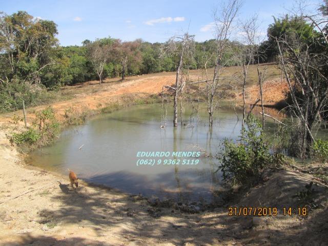 Chácara de 8 alqueires formado, com água, piscina, em Abadiânia - Foto 10