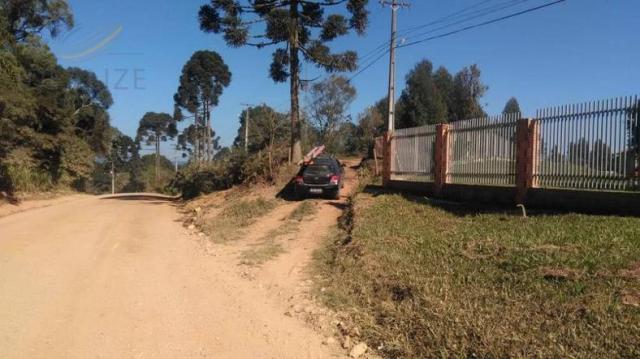 Chácara à venda em Contenda, São josé dos pinhais cod:1823956 - Foto 9