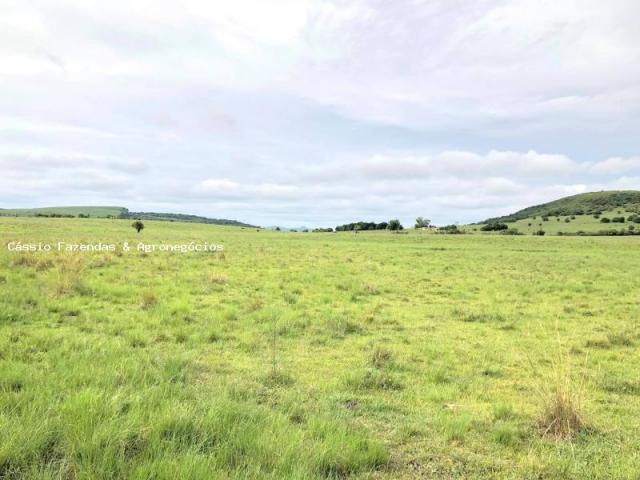 Fazenda para venda em encruzilhada do sul, interior