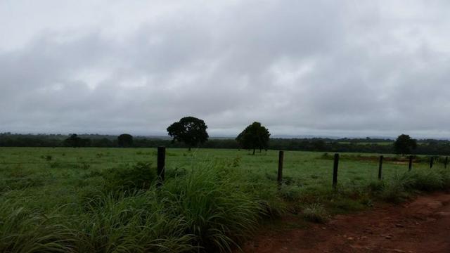 Fazenda 663 Alqueires região Porangatu Goias - Foto 3