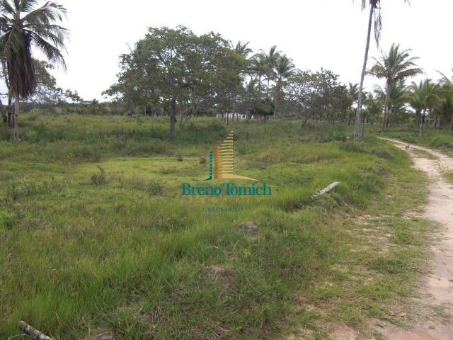 Área à venda, 900000 m² por r$ 3.000.000 - 7km do centro de porto seguro - porto seguro/ba - Foto 2
